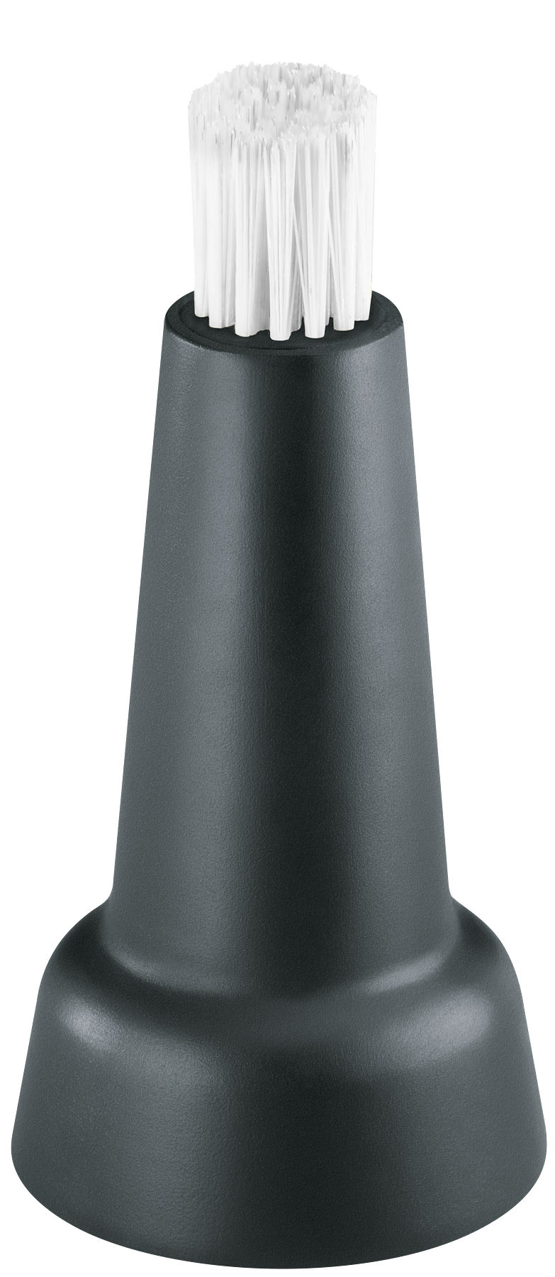 [main image]