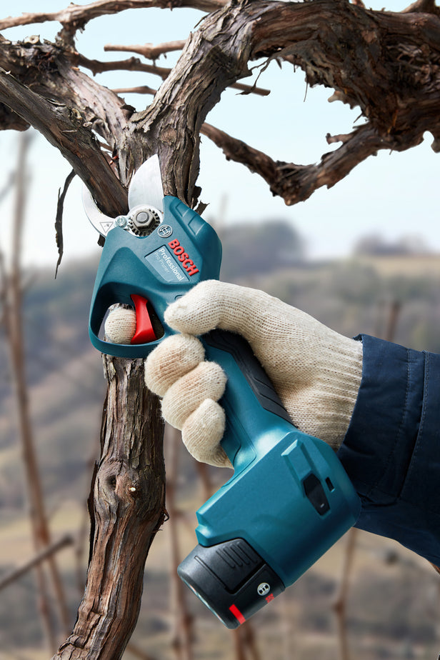 Pro Pruner