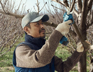 Cordless Secateur Pro Pruner